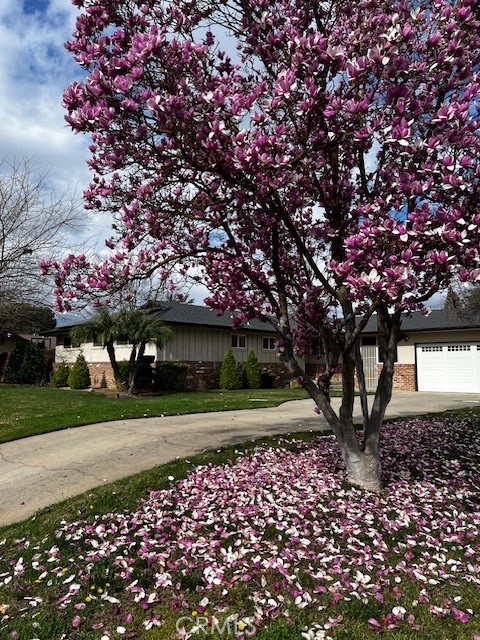 172 W Scott, Fresno, CA 93704